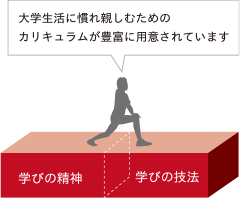 大学生活に慣れ親しむためのカリキュラムが豊富に用意されています