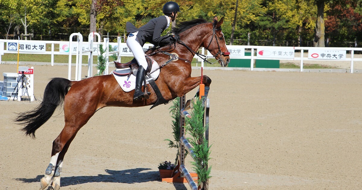 馬術部の杉本瑞生さんが「第69回全日本学生賞典障害馬術競技大会」で個人優勝 | 立教大学