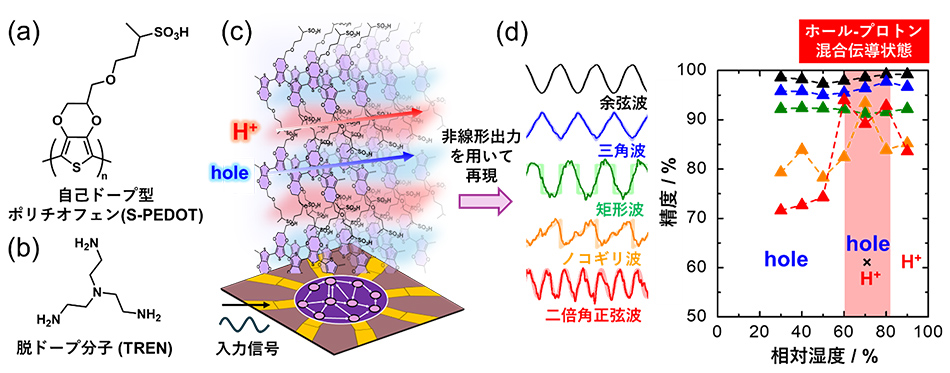 マテリアルリザバー性能が向上する電子－イオン混合伝導～イオンを積極的に活用したニューロモルフィック分子ネットワークの実証～