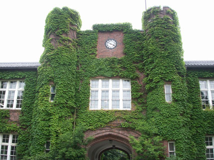 立教大学の実験講座 Dnaを見てみよう